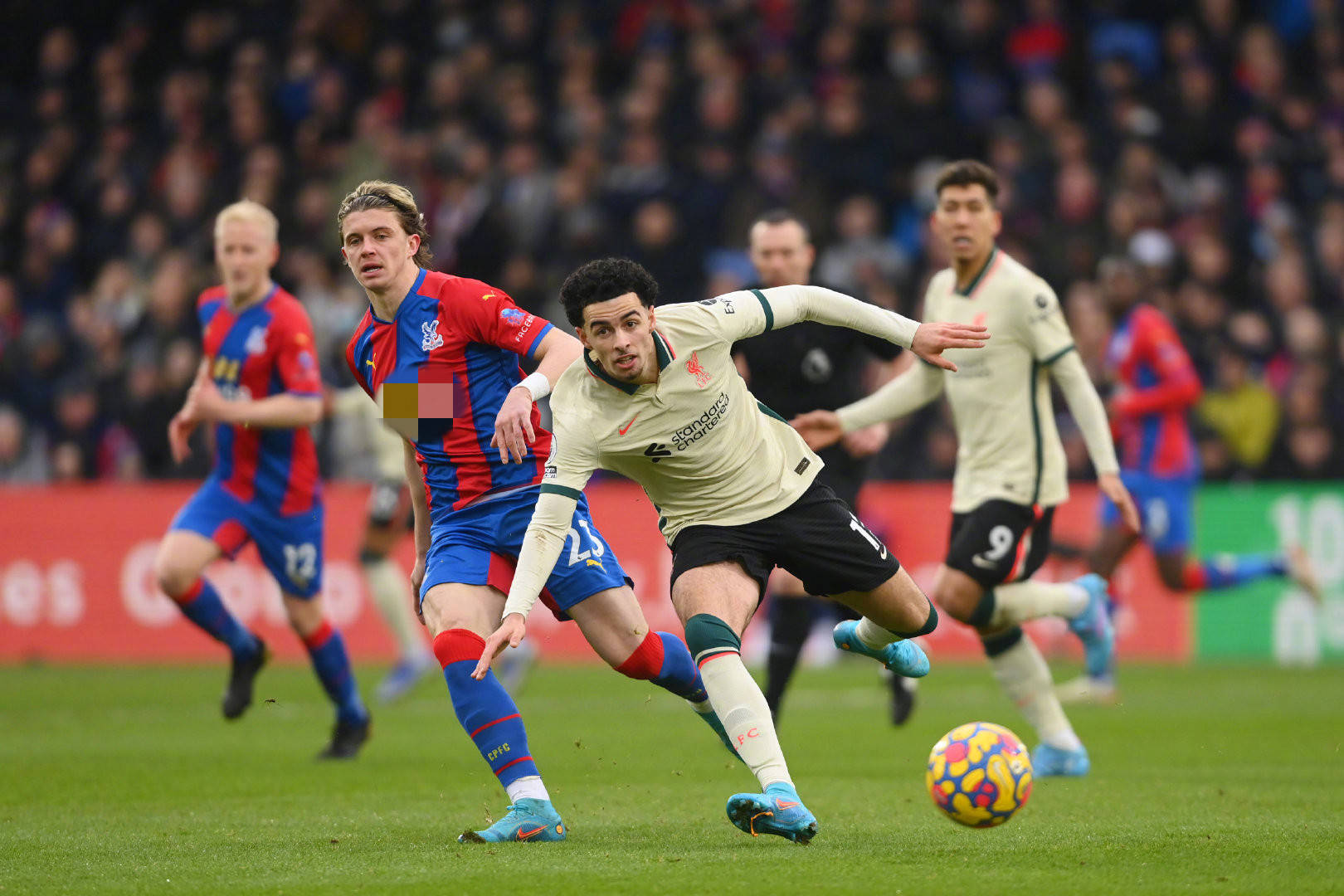 双方在比赛 双方在比赛